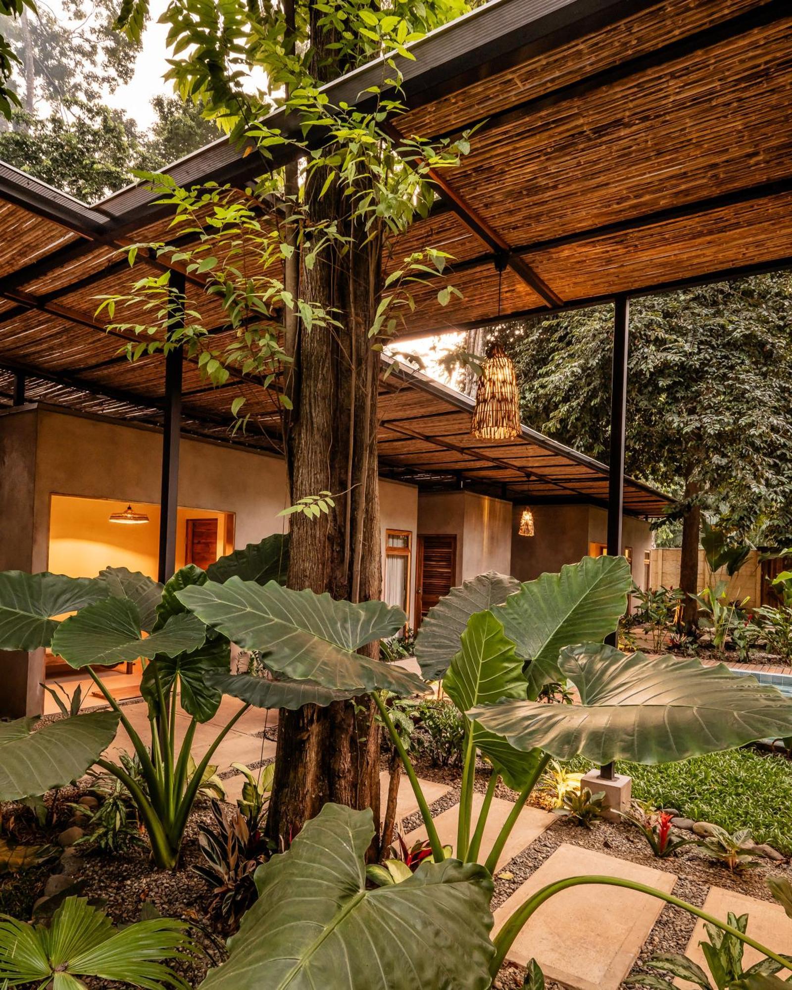 La Bonita Lodge Puerto Viejo de Talamanca Εξωτερικό φωτογραφία